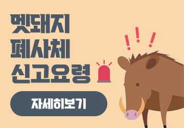 멧돼지 폐사체 신고요령
<br/>자세히보기